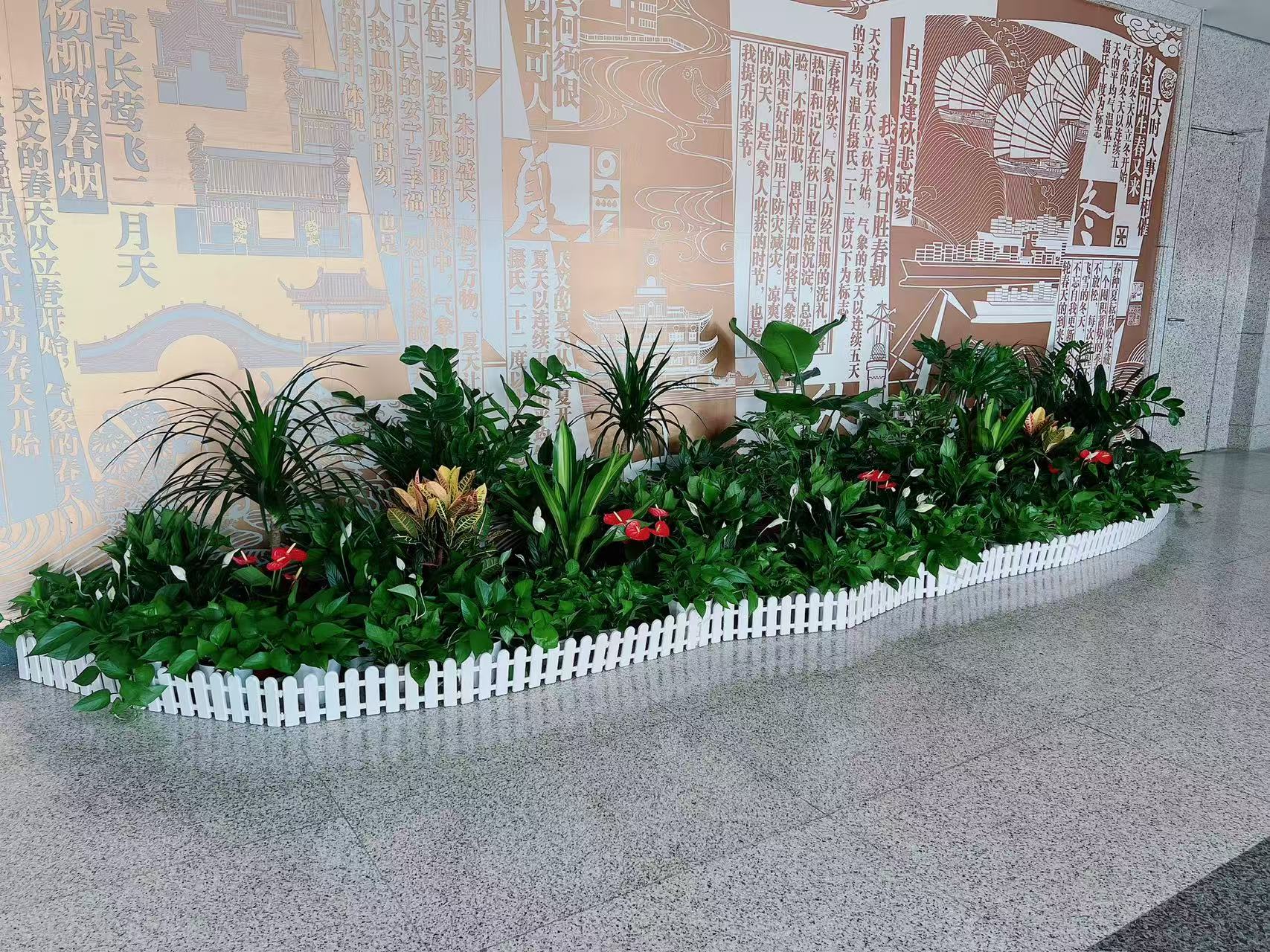 宁波盆景出租，解锁空间美化新方式！